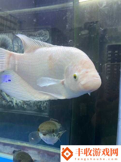 請輸入