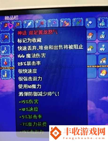 泰拉瑞亞戰(zhàn)士畢業(yè)飾品全揭秘