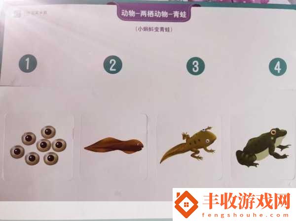 從后面是不是要緊一些