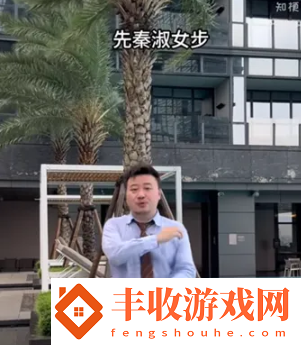 抖音先秦淑女步素是什么梗