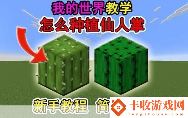 我的世界仙人掌