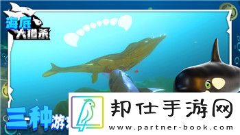 火炬之光手游2020禮包攻略
