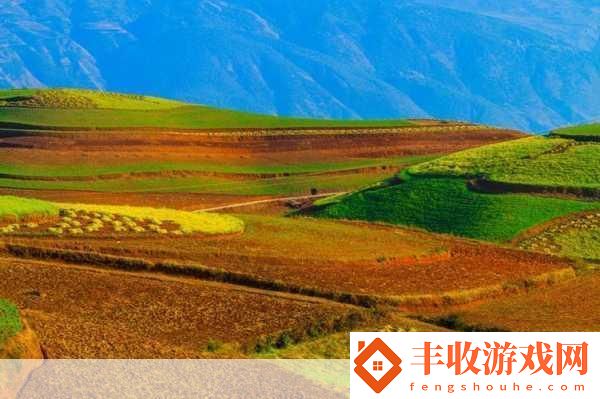 大地資源二在線觀看免費(fèi)高清支持離線緩存