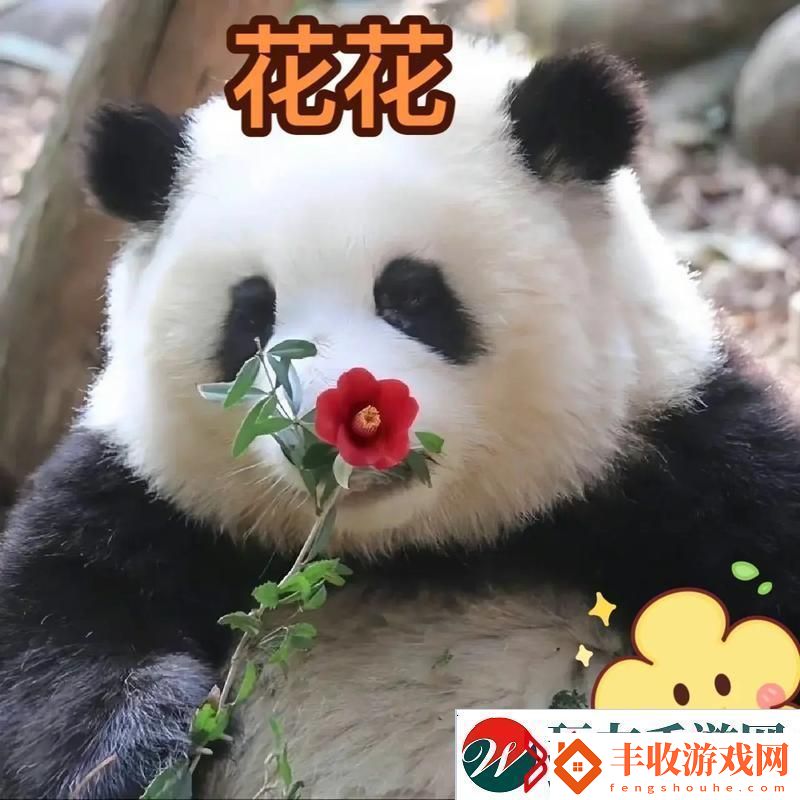 滾滾紅塵