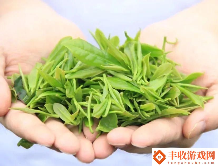 掌握最新趨勢