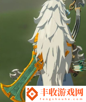 塞爾達(dá)傳說(shuō)王國(guó)之淚套裝怎么獲得