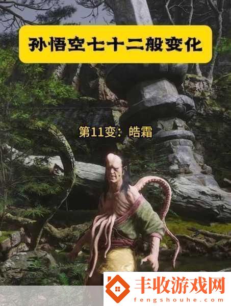 黑神話悟空皓霜法術(shù)