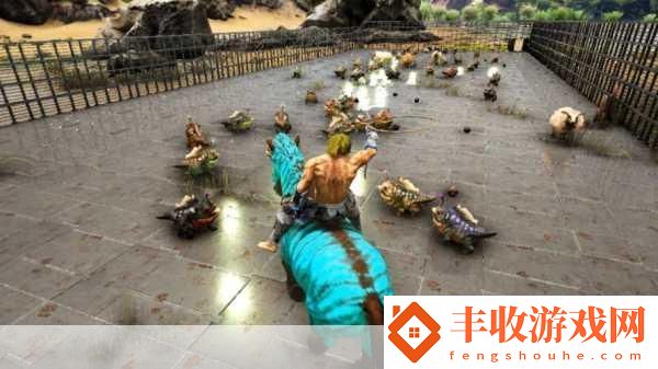 神雕俠侶手游