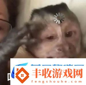 聽不懂思密達梗的來源是什么