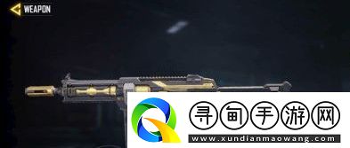 使命召喚手游沖鋒槍HG40BlackGold天賦介紹