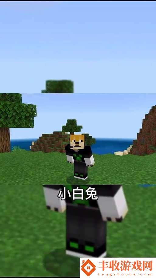 我的世界游戲中小兔子繁殖技巧全解析