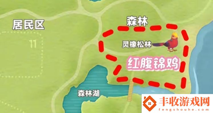 心動小鎮(zhèn)新春季第3周4只鳥位置