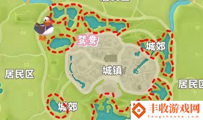 心動小鎮(zhèn)新春季第3周4只鳥位置