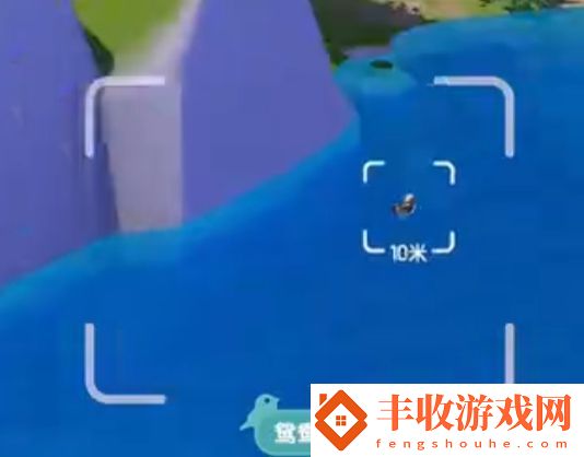 心動小鎮(zhèn)新春季第3周4只鳥位置