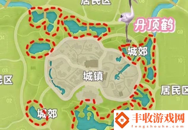 心動小鎮(zhèn)新春季第3周4只鳥位置