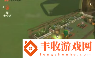 塞爾達(dá)傳說(shuō)王國(guó)之淚怎么造房子