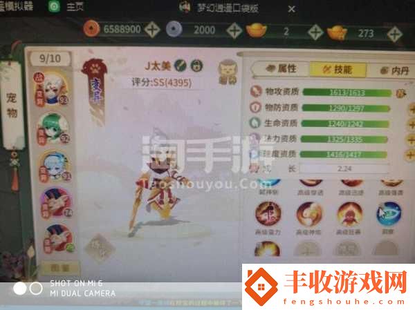 夢(mèng)幻逍遙口袋版